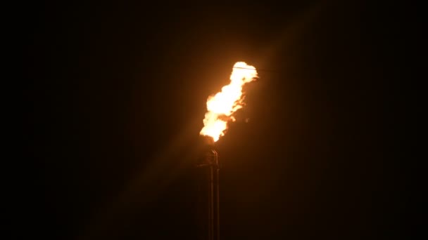 Un cliché nocturne d'une torche à gaz flamboyante de la production pétrochimique dans l'obscurité totale. Faible combustion d'hydrocarbures et pollution de l'environnement. Problèmes écologiques concept — Video