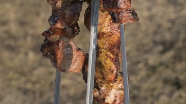 Stukjes vers smakelijk varkensvlees gebakken op de grill worden verwijderd met een mes van spiesjes in een plaat onder de open hemel bij een picknick. Kaukasisch buiten eten en BBQ-concept — Stockvideo