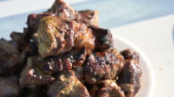 Rebanadas de cerdo fresco a la parrilla se encuentran en un plato blanco al aire libre en un picnic. Comida al aire libre caucásica y concepto de barbacoa — Vídeos de Stock