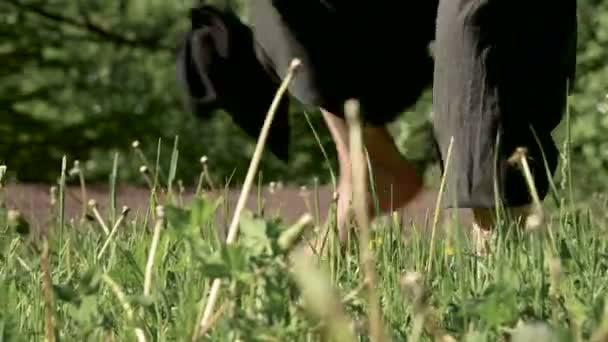 Крупным планом практикующих мужчин ноги на открытом воздухе в траве. Скрещивание босых ног в упражнениях цигун. Концепция спортивного образа жизни в восточной культуре 4k — стоковое видео