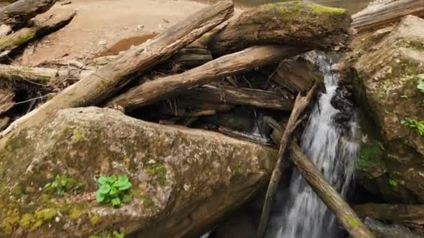 Крупним планом повітряний вид на невеликий водяний каскад серед великих каменів і сухі старі колоди в літньому лісі. Концепція лісової крутої дикої природи — стокове відео