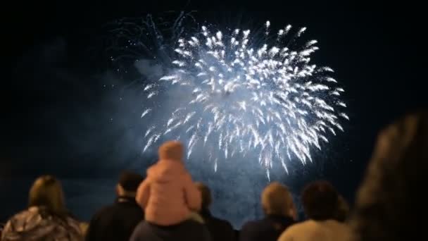 Cadre de nuit derrière la foule de gens qui regardent les feux d'artifice. Les gens en vacances regardent une performance pyrotechnique — Video