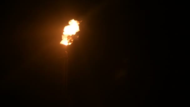 Ночной снимок пылающего газового факела нефтехимического производства в полной темноте. Низкий уровень сжигания нефти и загрязнение окружающей среды. Концепция экологических проблем — стоковое видео