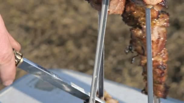 Des morceaux de porc frais appétissant frit sur le gril sont retirés avec un couteau des brochettes dans une assiette sous le ciel ouvert lors d'un pique-nique. Caucasien Outdoor Food et BBQ Concept — Video