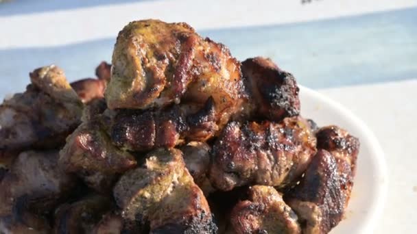 Plakjes vers gegrild varkensvlees op de grill liggen op een witte plaat in de open lucht op een picknick. Kaukasisch buiten eten en BBQ-concept — Stockvideo