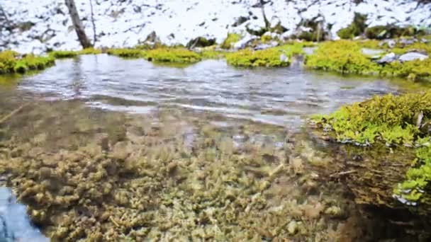 Close-up. Uma pequena lagoa de montanha no inverno com água limpa, cercada por musgo e líquen registrados. Água mineral alta — Vídeo de Stock