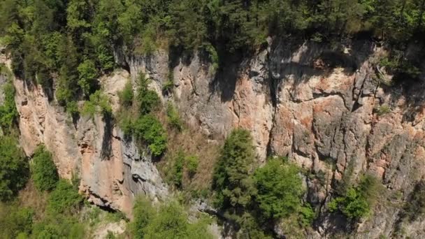 Vista aérea del vuelo de la cámara sobre un profundo barranco rocoso con altos acantilados y un denso bosque y un río que fluye por debajo. Vida silvestre en un soleado día de verano — Vídeos de Stock