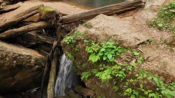 Close-up aerial view of a small water cascade among large stones and dry old logs in a summer forest. Forest cool wildlife concept — Stock Video