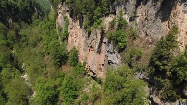 Вид з повітря на камеру над глибокою скелястою ущелиною з високими скелями і щільним лісом і річкою, що тече внизу. Дика природа в сонячний літній день — стокове відео
