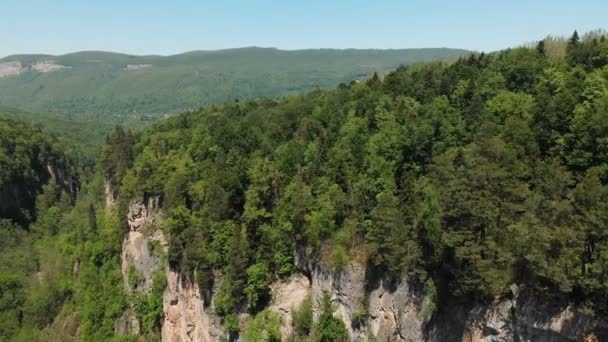 Vedere aeriană a zborului camerei peste un defileu stâncos adânc, cu stânci înalte și o pădure densă și un râu care curge mai jos. Viața sălbatică într-o zi însorită de vară — Videoclip de stoc