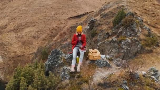 Vista aérea de una chica sentada en una roca en un lago que toma una foto del paisaje en el teléfono y filma un video. Vídeo de viaje — Vídeos de Stock