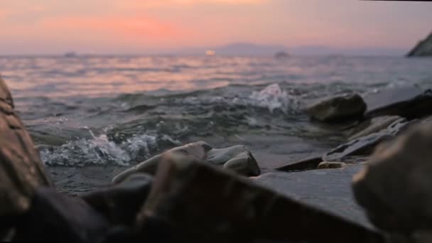 Primer plano cámara lenta ángulo bajo pequeñas olas marinas rodando en una playa rocosa. Junto al mar. Atardecer en una playa rocosa de guijarros — Vídeo de stock