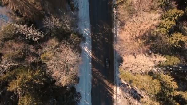 Aerial view of an unknown off-road car driving along an asphalt road in a coniferous winter forest on a sunny day. Winter transportation concept. Low key — Stock Video