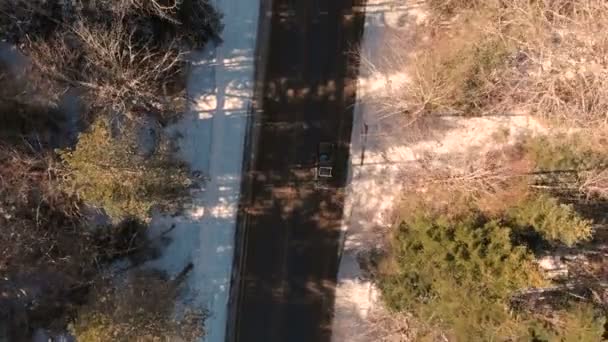 Güneşli bir günde iğne yapraklı bir kış ormanında asfalt yol boyunca sürüş bilinmeyen bir off-road araba havadan görünümü. Kış ulaşım konsepti. Düşük anahtar — Stok video