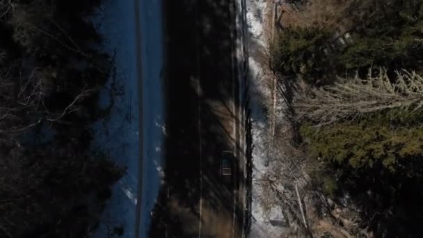 Widok z lotu ptaka nieznanego samochodu terenowego jazdy wzdłuż asfaltowej drogi w lesie iglastym zimą w słoneczny dzień. Koncepcja transportu zimą. Niski klucz — Wideo stockowe