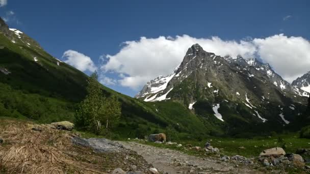 Zeitraffer eines wunderschönen Alpentals mit einem Baum im Vordergrund und hohen Klippen und einem Gletscher im Hintergrund. Sommersonniger Tag. Bergwetterkonzept — Stockvideo