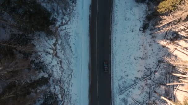 Aerial view of an unknown off-road car driving along an asphalt road in a coniferous winter forest on a sunny day. Winter transportation concept. Low key — Stock Video