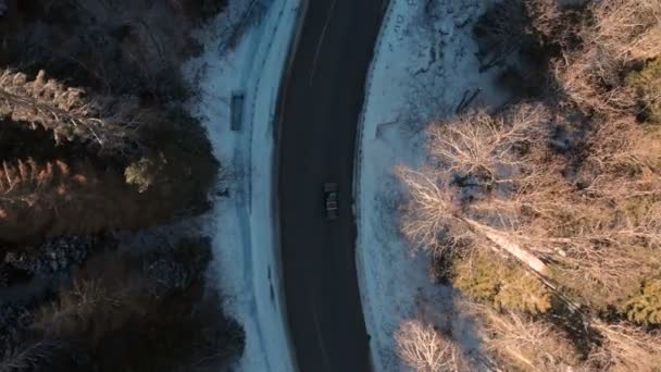 Aerial view of an unknown off-road car driving along an asphalt road in a coniferous winter forest on a sunny day. Winter transportation concept. Low key — Stock Video