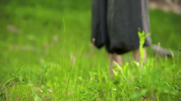 芝生の中で屋外で練習する男の足のクローズアップ。気功演習で素足を横切る。東洋文化におけるスポーツライフスタイルの概念 4k — ストック動画