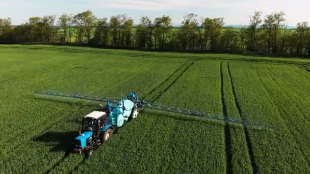 Krasnodar, Ryssland-24 maj, 2019: antenn Visa lantbruksmaskiner Vitryssland traktor med en bevattnings vagn BERTHOUD rider genom det gröna fältet av jordbruksgrödor och bedriver bevattning. — Stockvideo