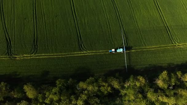 Az a traktor, amely a zöld mezőt öntözi, különleges installáció mellett, Növényvédő szerek felpermetezése rovarirtással, rágcsálók, paraziták és kártevők rovarokkal szembeni védelemmel. — Stock videók