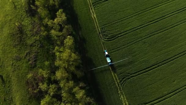 Vista aerea del trattore che irriga il campo verde con apposita installazione. Il processo di irrorazione delle crescite dei campi con pesticidi e protezione contro insetti di roditori, parassiti e parassiti . — Video Stock