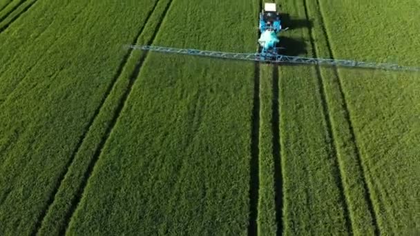 クラスノダール、ロシア - 2019年5月24日:灌漑トレーラーバートホードが農作物の緑のフィールドを乗り切り、灌漑を行う空中ビュー農業機械ベラルーシトラクター. — ストック動画