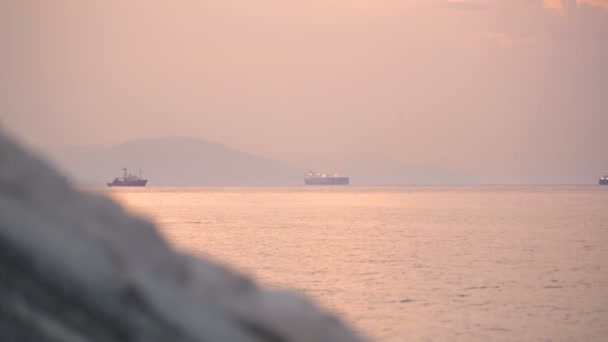 Tele view Vídeo profissional de vários navios contêineres navegando ao pôr-do-sol — Vídeo de Stock