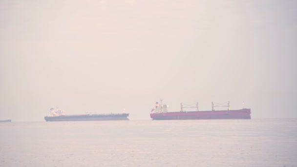 Tele view Vídeo profissional de vários navios contêineres navegando ao pôr-do-sol — Vídeo de Stock