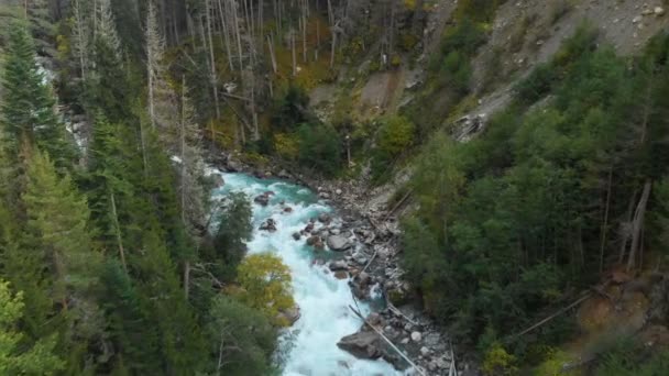 Vista aérea de um rio de montanha tempestuoso limpo na floresta de outono conífera da reserva caucasiana. Conceito de áreas de conservação vista superior . — Vídeo de Stock