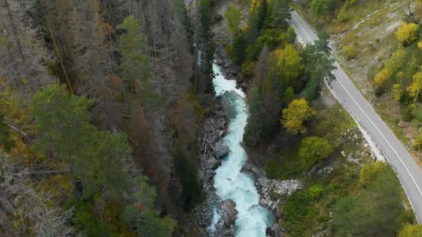 Luftaufnahme eines sauberen stürmischen Gebirgsflusses im Nadelwald des kaukasischen Reservats. Konzept der Naturschutzgebiete von oben. — Stockvideo