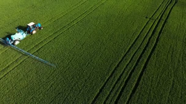 러시아 크라스노다르 - 2019년 5월 24일: 관개 트레일러 버토우드(Berthoud)가 있는 공중 전망 농업 기계 벨라루스 트랙터가 농작물의 녹색 들판을 통과하며 관개를 수행한다.. — 비디오