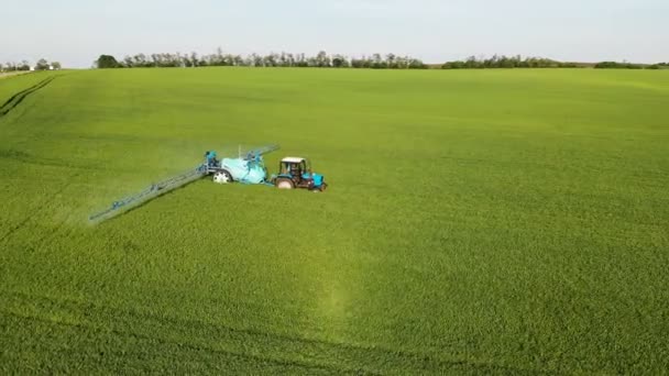 Krasnodar, Rusko – 24. květen, 2019: letecký strojní zařízení běloruský traktor s zavlažovacím přívěsem projíždí zeleným polem zemědělských plodin a provádí zavlažování. — Stock video