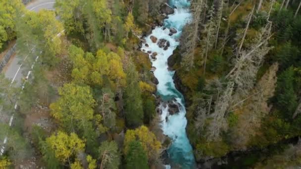 Vista aérea de un río de montaña tormentoso y limpio en el bosque de coníferas de otoño de la reserva caucásica. Concepto de áreas de conservación vista superior . — Vídeos de Stock