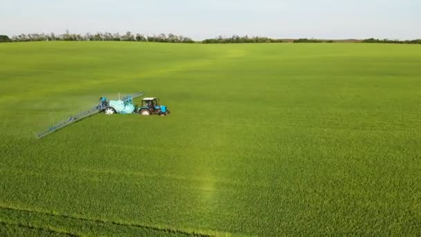 Krasnodar, Rosja-24 maja 2019: widok lotniczy maszyny rolnicze Białoruś ciągnik z przyczepą nawadniającą Berthoud jeździ przez zielone pole upraw rolnych i przeprowadza nawadnianie. — Wideo stockowe