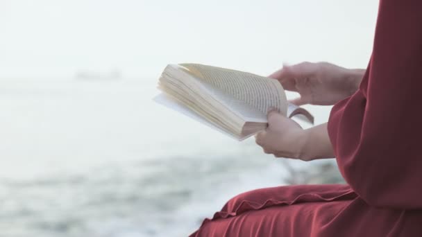 The view from behind the girl in a red dress reads leafs a book while sitting on the seashore. Hands close-up — ストック動画