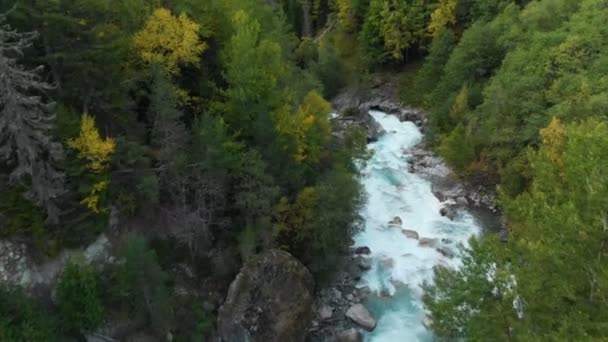Luftaufnahme eines sauberen stürmischen Gebirgsflusses im Nadelwald des kaukasischen Reservats. Konzept der Naturschutzgebiete von oben. — Stockvideo