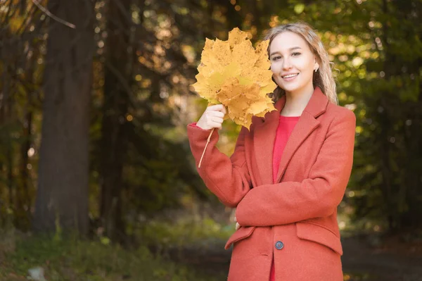 Retrato de um sorriso atraente jovem loira em um casaco vermelho com um buquê de folhas amarelas na mão. O conceito de sonhar com caminhadas florestais durante uma pandemia de vírus. Moda de outono na floresta — Fotografia de Stock