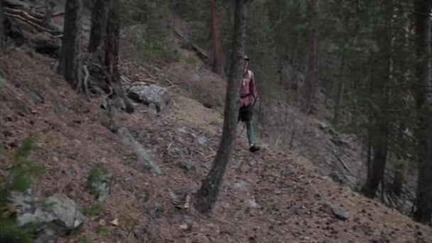 Un joven hombre blanco de pelo largo con una gorra con una mochila y bastones de seguimiento camina a lo largo de un sendero forestal en un bosque de coníferas de pino en las montañas — Vídeos de Stock