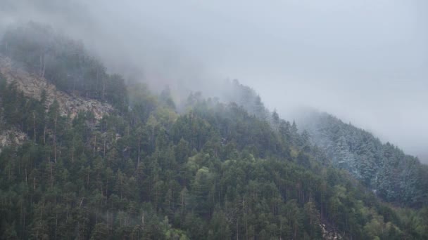 Timelapse encostas íngremes da montanha cobertas com pinhal conífero com rochas afiadas. Nuvens baixas agarram-se a árvores em tempo nublado com precipitação . — Vídeo de Stock