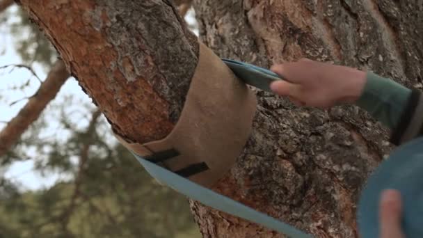 Slackline. Un joven instala una cuerda floja en un árbol para ejercitarse en equilibrio. Primer plano de la pequeña profundidad de campo — Vídeo de stock