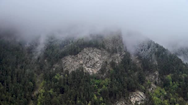 Včasné strmé svahy porostlé jehličnatým borovým lesem s ostrými skalami. Nízké mraky lpí na stromech za oblačného počasí se srážkami. — Stock video
