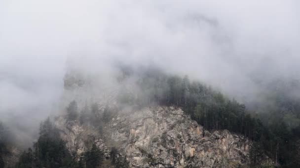 timelapse pentes abruptes de montagne couvertes de forêts de pins résineux avec des roches acérées. Nuages bas s'accrochant aux arbres par temps nuageux avec précipitations.