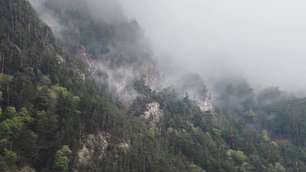 Timelapse empinadas laderas de montaña cubiertas de pinos de coníferas con rocas afiladas. Nubes bajas se aferran a los árboles en tiempo nublado con precipitación . — Vídeo de stock
