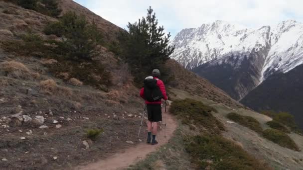 Vista aérea de la 4k uhd joven turista alto en una gorra con palos de seguimiento y una mochila en pantalones cortos va en un camino de montaña en el verano — Vídeo de stock