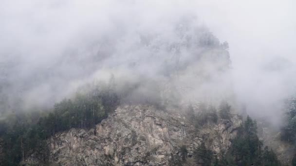 时光流逝的陡峭的山坡，上面覆盖着针叶林和尖锐的岩石。阴天雨天低云依附在树上. — 图库视频影像