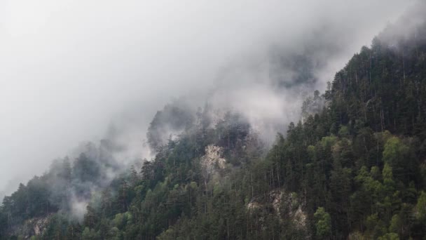 Timelapse empinadas laderas de montaña cubiertas de pinos de coníferas con rocas afiladas. Nubes bajas se aferran a los árboles en tiempo nublado con precipitación . — Vídeo de stock