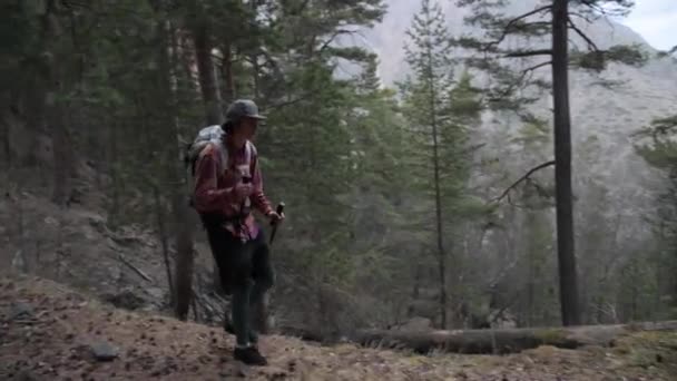 Um jovem homem branco de cabelos longos em um boné com uma mochila e varas de rastreamento caminha ao longo de uma trilha florestal em uma floresta de coníferas de pinho nas montanhas — Vídeo de Stock