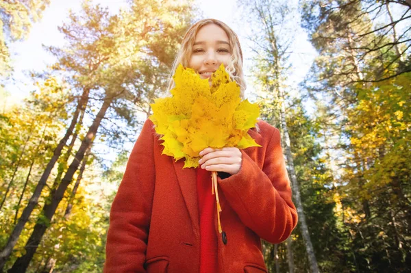 Menina branca caucasiana atraente em polto vermelho e chapéu de laranja é confundido com um buquê de folhas em suas mãos contra o fundo da floresta de outono . — Fotografia de Stock