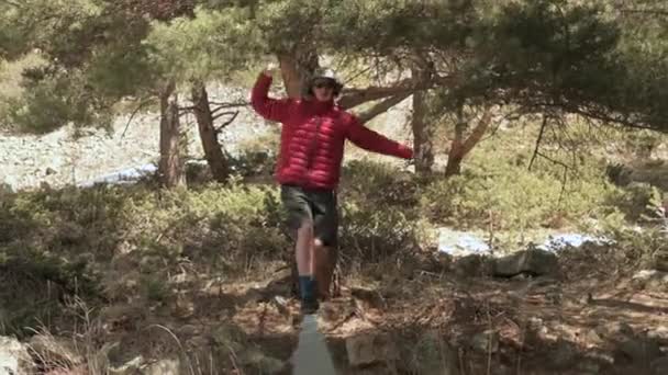 Şort ceketli ve güneş gözlüklü genç bir adam öğleden sonra kozalaklı ormanda gerilmiş bir ip üzerinde dengede duruyor. Açık hava sporları ve eğlence konsepti — Stok video